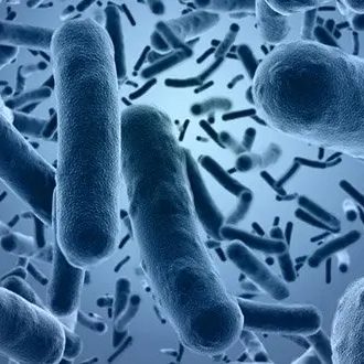 25 Interesting Facts About Diseases